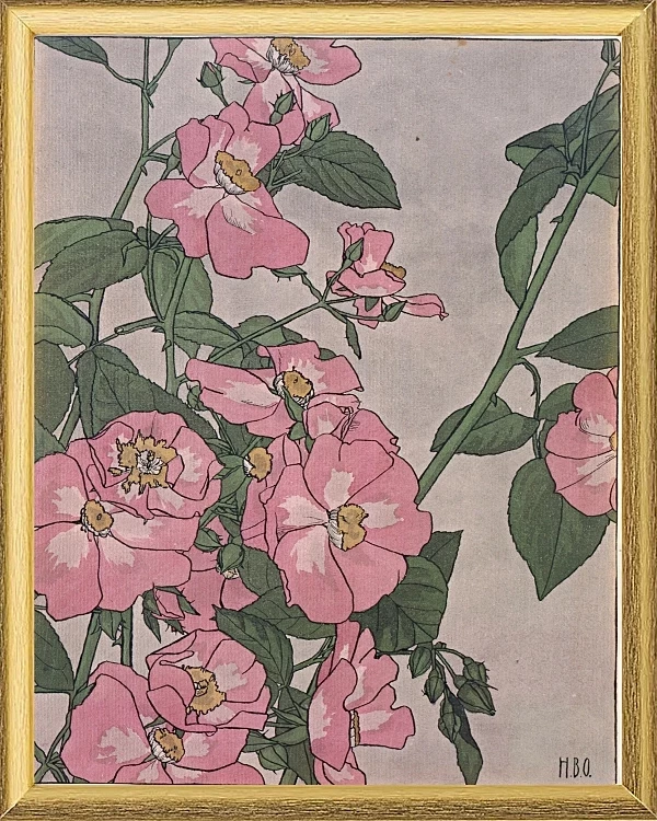 Prärierose - 1915