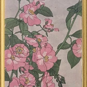 Prärierose - 1915