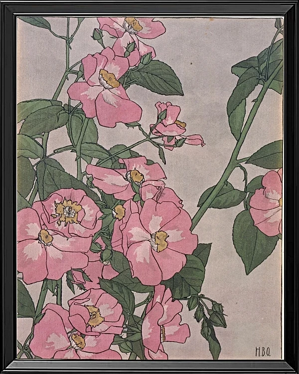 Prärierose - 1915