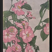 Prärierose - 1915