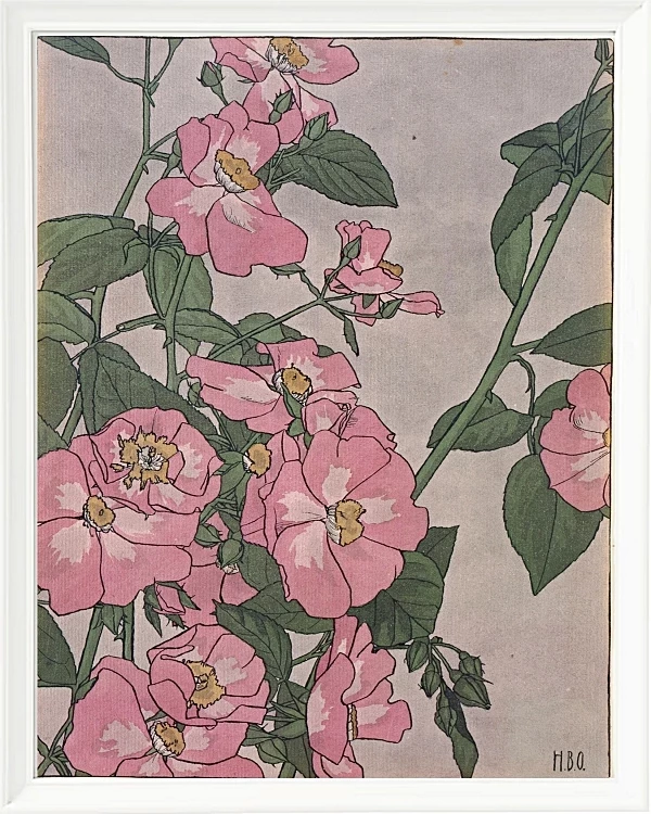 Prärierose - 1915