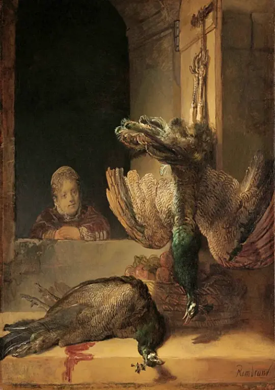 Rembrandt van Rijn | Stilleben med påfugle - 1639 | Indrammet kunsttryk | Barok | formida