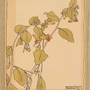 Rør mig ikke - 1915