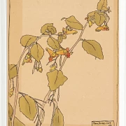 Rør mig ikke - 1915