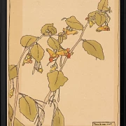 Rør mig ikke - 1915