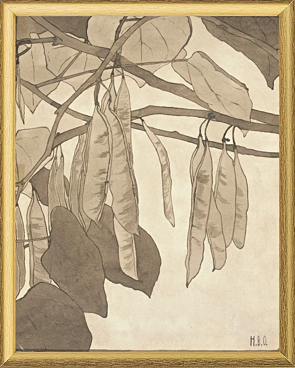 Rote Knospe - 1915