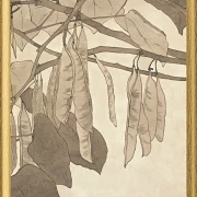 Rote Knospe - 1915