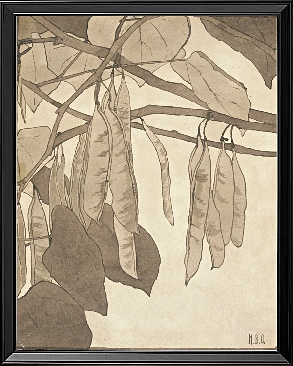 Rote Knospe - 1915
