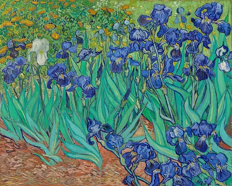 Iriser - 1889