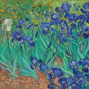 Iriser - 1889