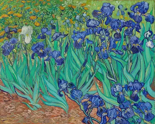 Iriser - 1889