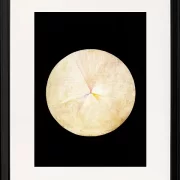 Series SUW, Nr. 14 Schwan – 1914