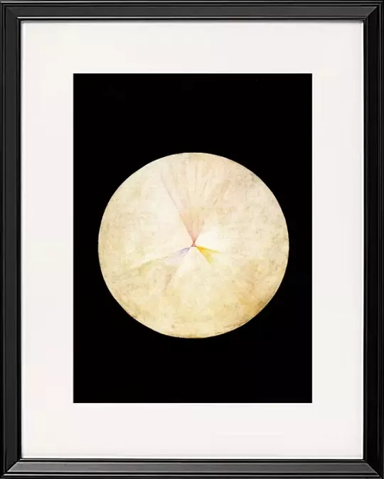 Series SUW, Nr. 14 Schwan – 1914