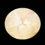 Series SUW, Nr. 14 Schwan – 1914