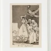 Sie sind bereits gerupft - 1796