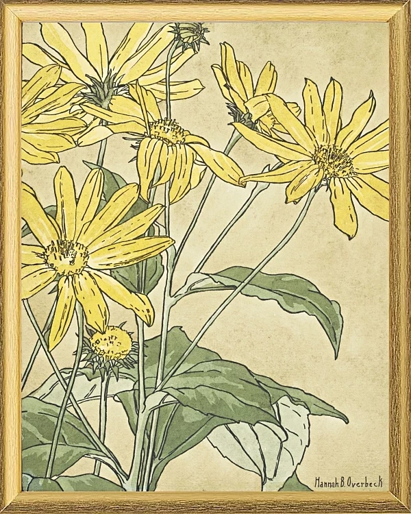 Solsikker - 1915