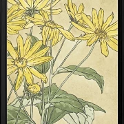 Solsikker - 1915