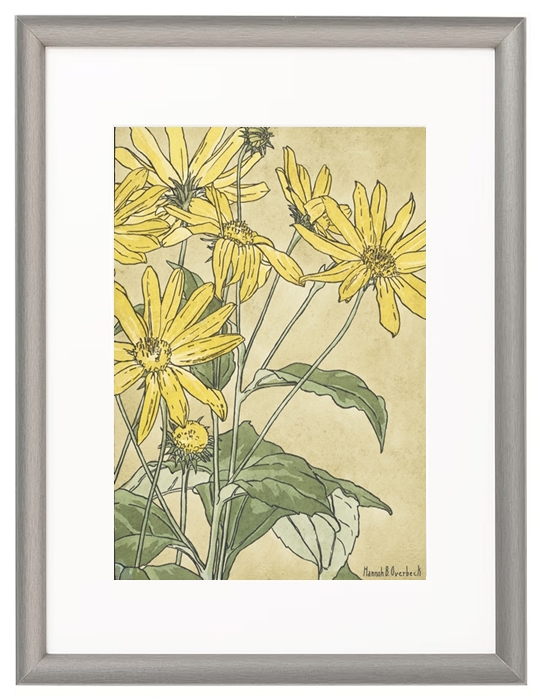 Sunflowers - 1915