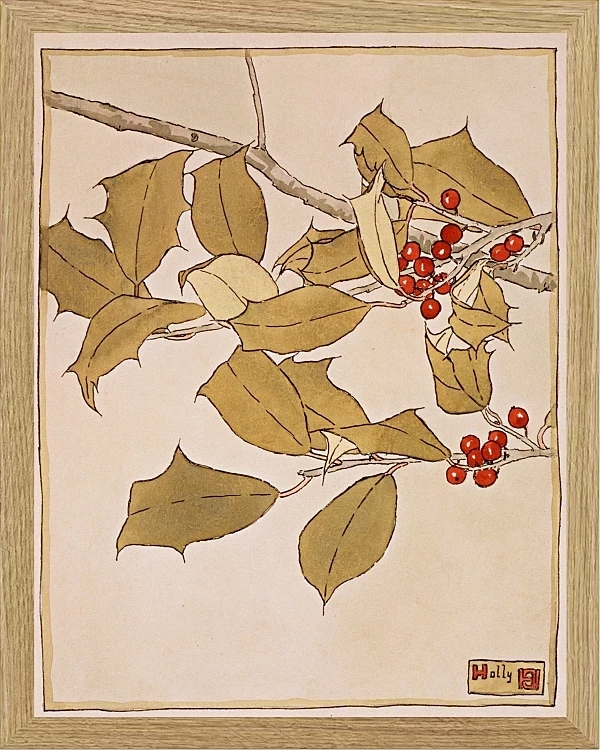 Stechpalme - 1915