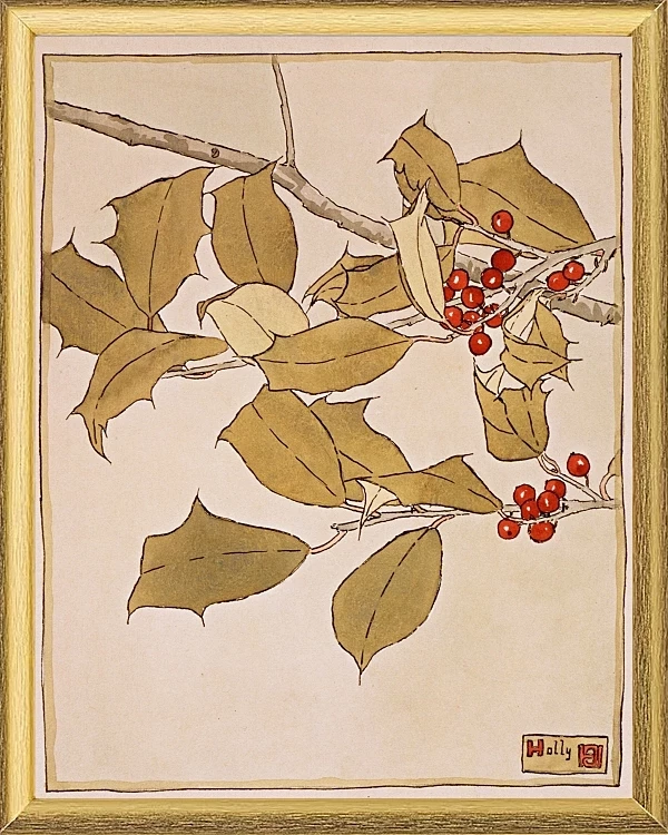 Stechpalme - 1915