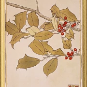 Stechpalme - 1915