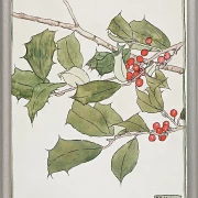 Kristtorn - 1916