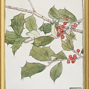 Kristtorn - 1916