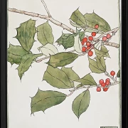 Kristtorn - 1916