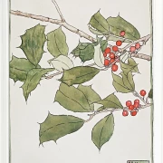 Kristtorn - 1916