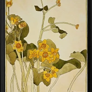 Sumpfdotterblume - 1915