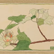 Tulipantræ - 1915