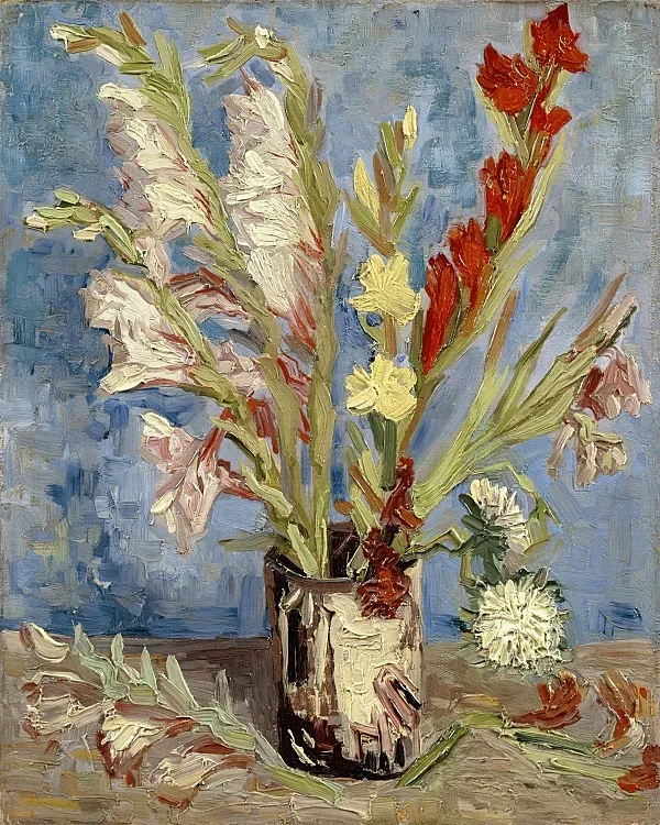 Vase mit Gladiolen und China Stern - 1886