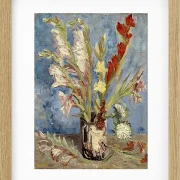 Vase mit Gladiolen und China Stern - 1886