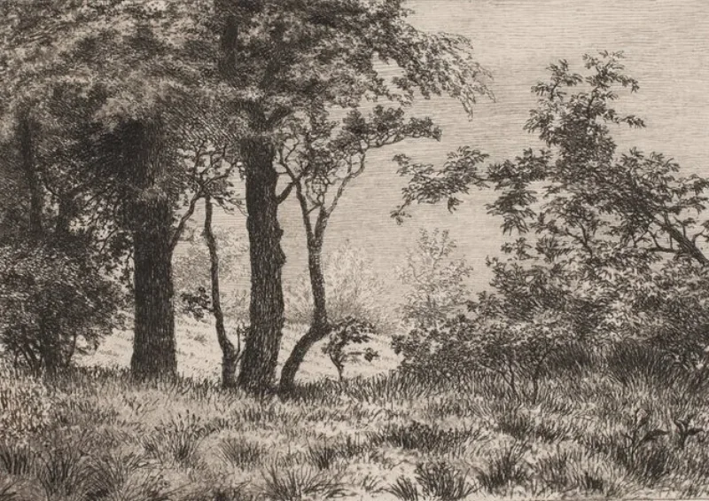 Vilhelm Kyhn | Eichen am Waldrand - 1886 | Gerahmter Kunstdruck | Goldenes Zeitalter Dänemark