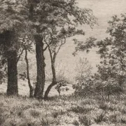 Vilhelm Kyhn | Eichen am Waldrand - 1886 | Gerahmter Kunstdruck | Goldenes Zeitalter Dänemark