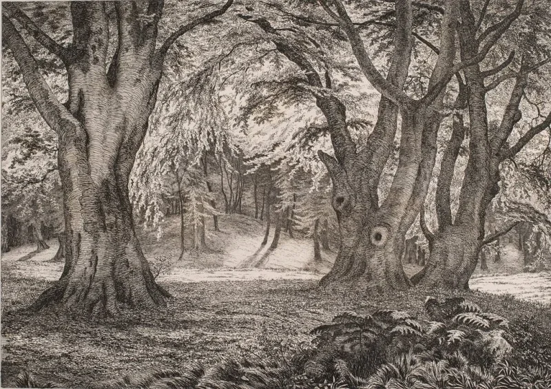 Vilhelm Kyhn | Skovens indre – 1854 | Indrammet kunsttryk | Danmarks Guldalder