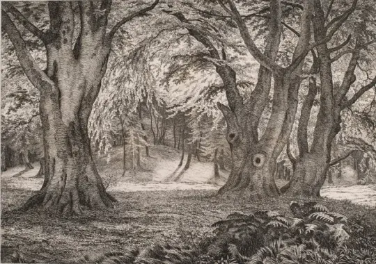 Vilhelm Kyhn | Skovens indre – 1854 | Indrammet kunsttryk | Danmarks Guldalder