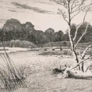 Vilhelm Kyhn | Solnedgang i skoven - 1885 | Indrammet kunsttryk | Danmarks Guldalder