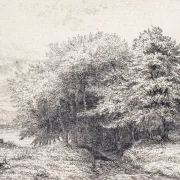 Vilhelm Kyhn | Skovkant - 1847 | Indrammet kunsttryk | Danmarks Guldalder