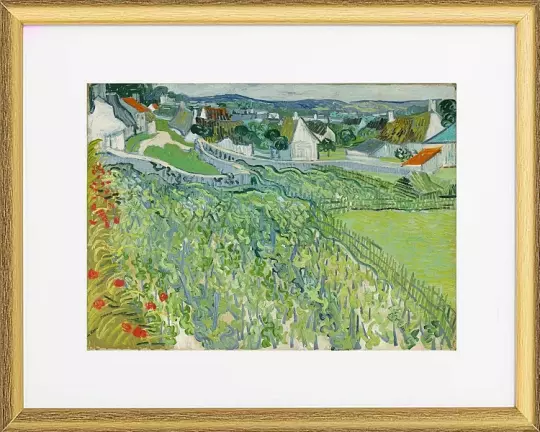 Weinberge bei Auvers - 1890