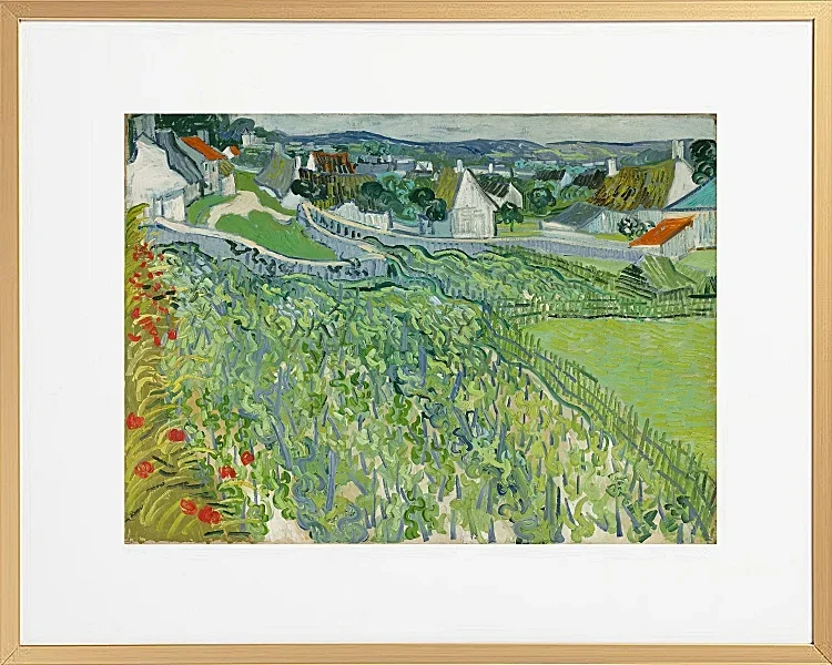 Weinberge bei Auvers - 1890