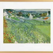 Weinberge bei Auvers - 1890