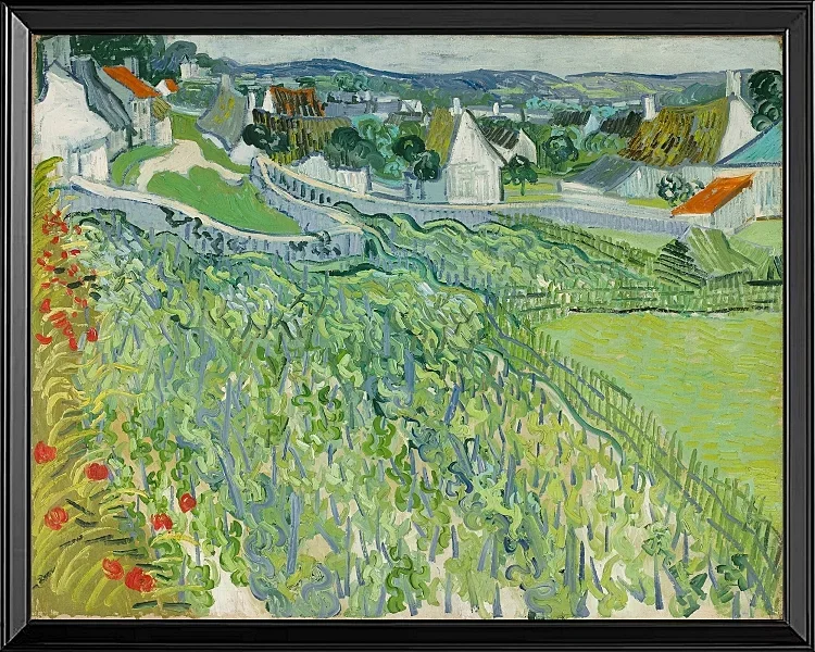 Weinberge bei Auvers - 1890