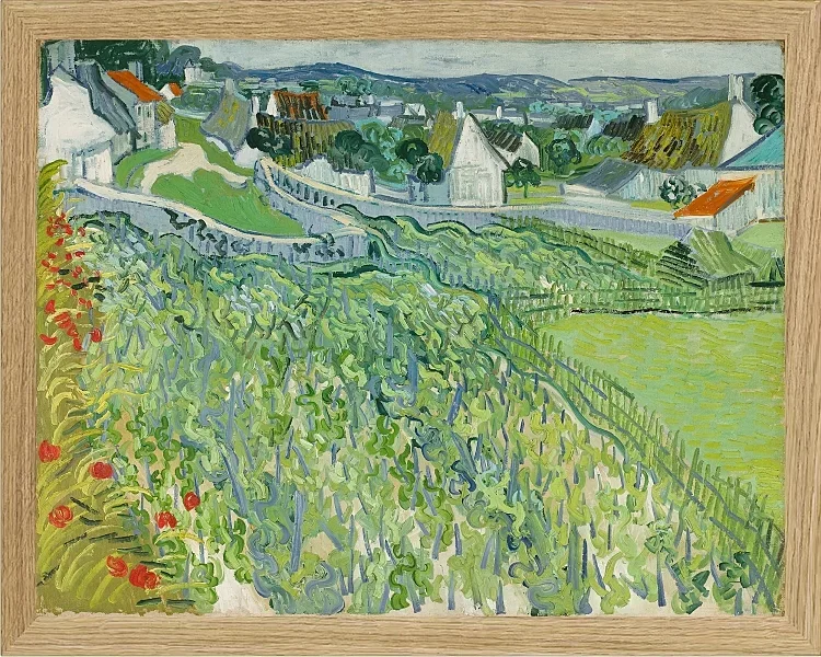Weinberge bei Auvers - 1890