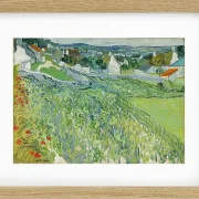 Weinberge bei Auvers - 1890