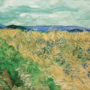 Weizenfeld mit Kornblumen - 1890