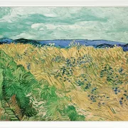 Weizenfeld mit Kornblumen - 1890