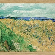 Weizenfeld mit Kornblumen - 1890
