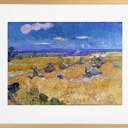 Hvedemarker med høster, Auvers - 1887