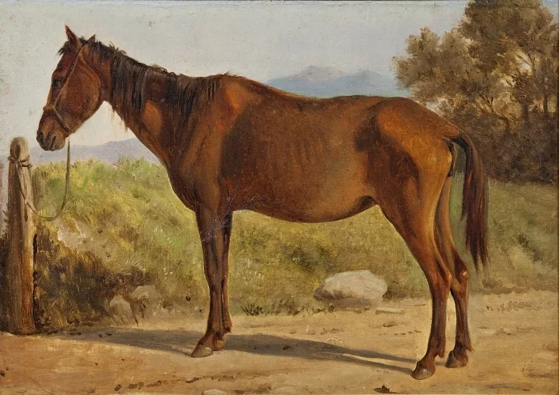 Wilhelm Marstrand | Rosinante - 1847 | Gerahmter Kunstdruck | Goldenes Zeitalter Dänemark